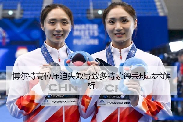 bo-er-te-gao-wei-ya-po-shi-xiao-dao-zhi-duo-te-meng-de-diu-qiu-zhan-shu-jie-xi-2-470.jpg
